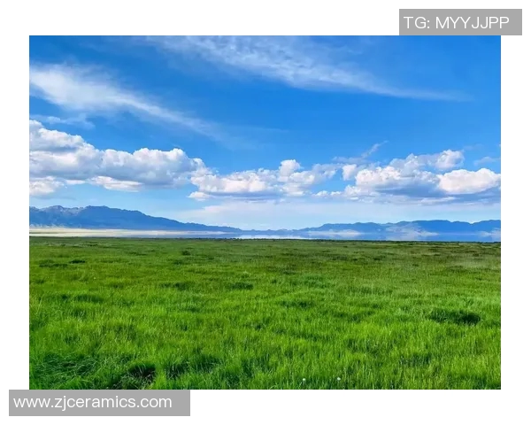 塞拉维的魅力探索：在生活的每一个瞬间感受真实与美好