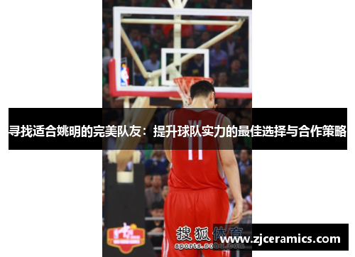 寻找适合姚明的完美队友：提升球队实力的最佳选择与合作策略